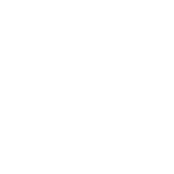 SafePal USD