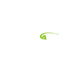 Singularity Future Technology Ltd.