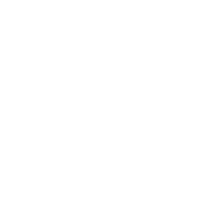 SKALE USD
