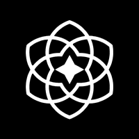 Synesis One USD