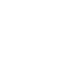 Student Coin USD