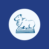 The South India Paper Mills Limited