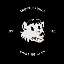 Drunk Skunks DC USD