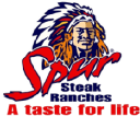 Spur Corporation Ltd