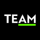 TEAM plc