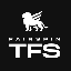 TFS Token USD