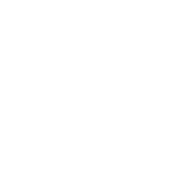 Visa Inc.