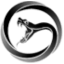 Viper Energy Partners LP