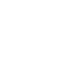 VirTra, Inc.