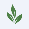 Warren Tea Limited