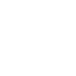 WaykiChain USD