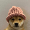 dogwifhat USD