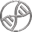 XDNA USD