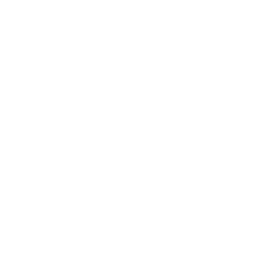 Haven Protocol USD