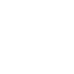 Stellar USD