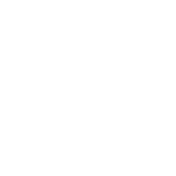 XPeng Inc.