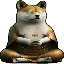 Yogi USD
