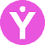 yOUcash USD