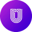 YOU COIN USD