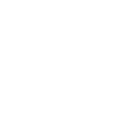 0x Protocol USD