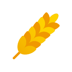 Wheat Futures